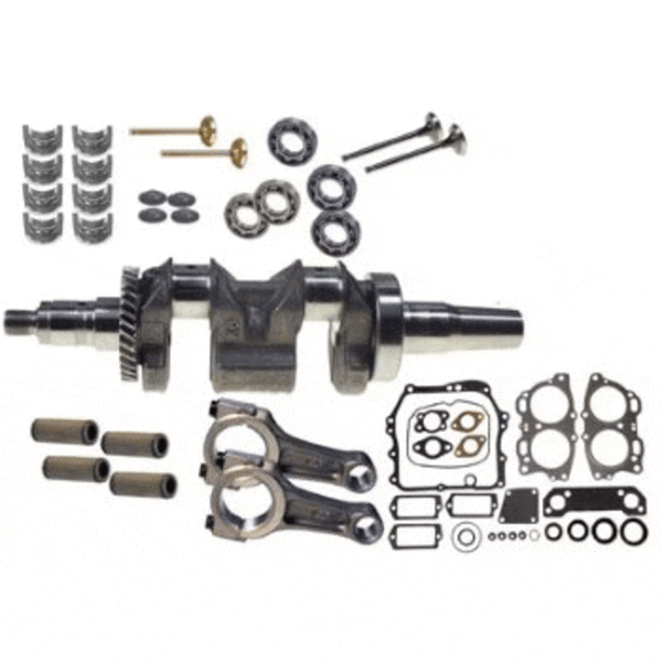 Engine Rebuild Kit W/O Piston 295cc - MCI Engine